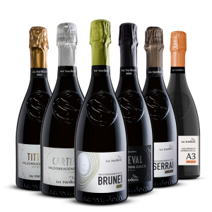 Confezione Degustazione – 6 bottiglie – La Tordera